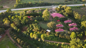 Phufatara Resort